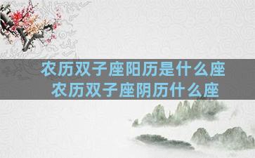农历双子座阳历是什么座 农历双子座阴历什么座